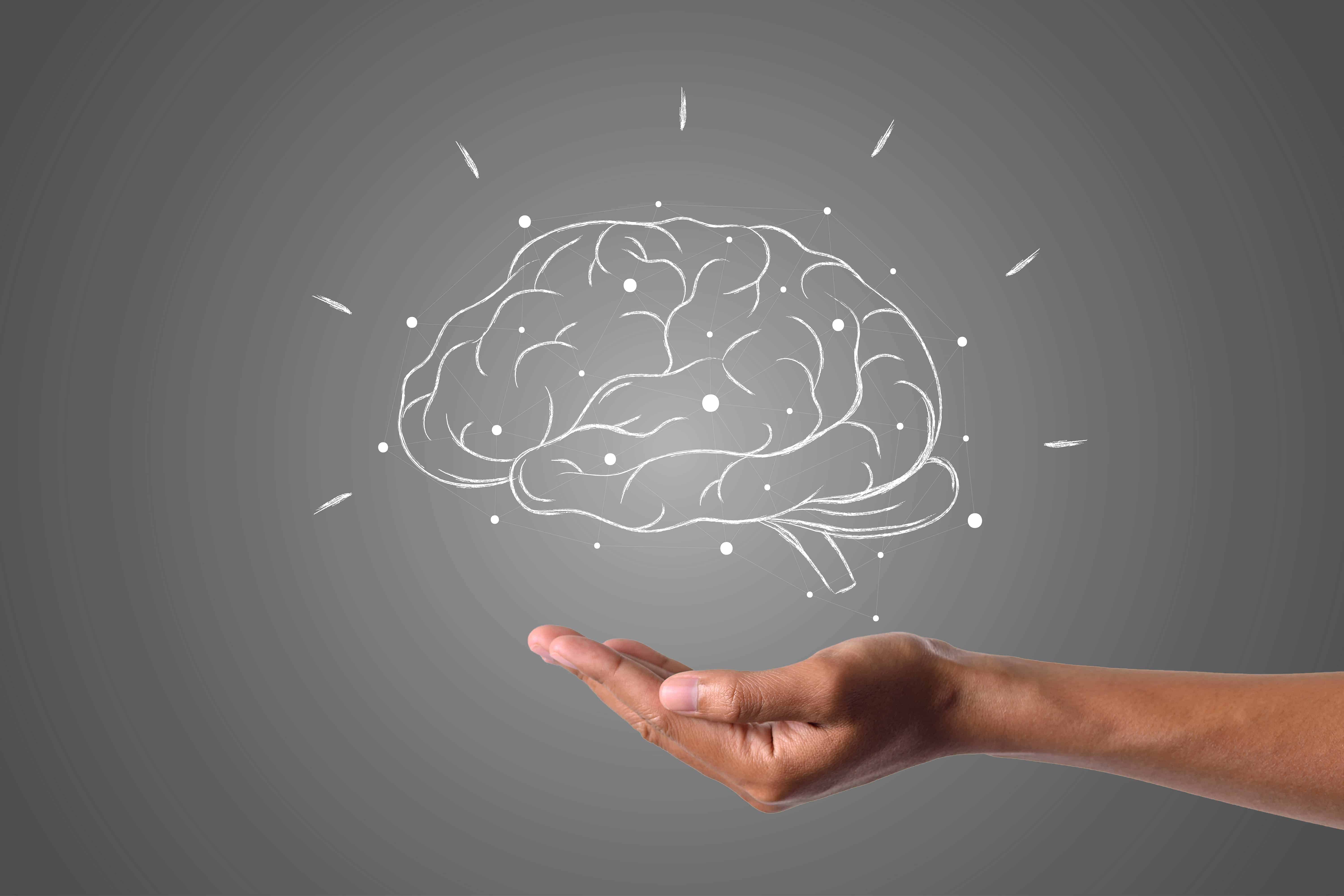 Why is it Important to Understand Psychology in Business? Here are 3 Important Interpersonal Skills you will Gain when Studying Psychology