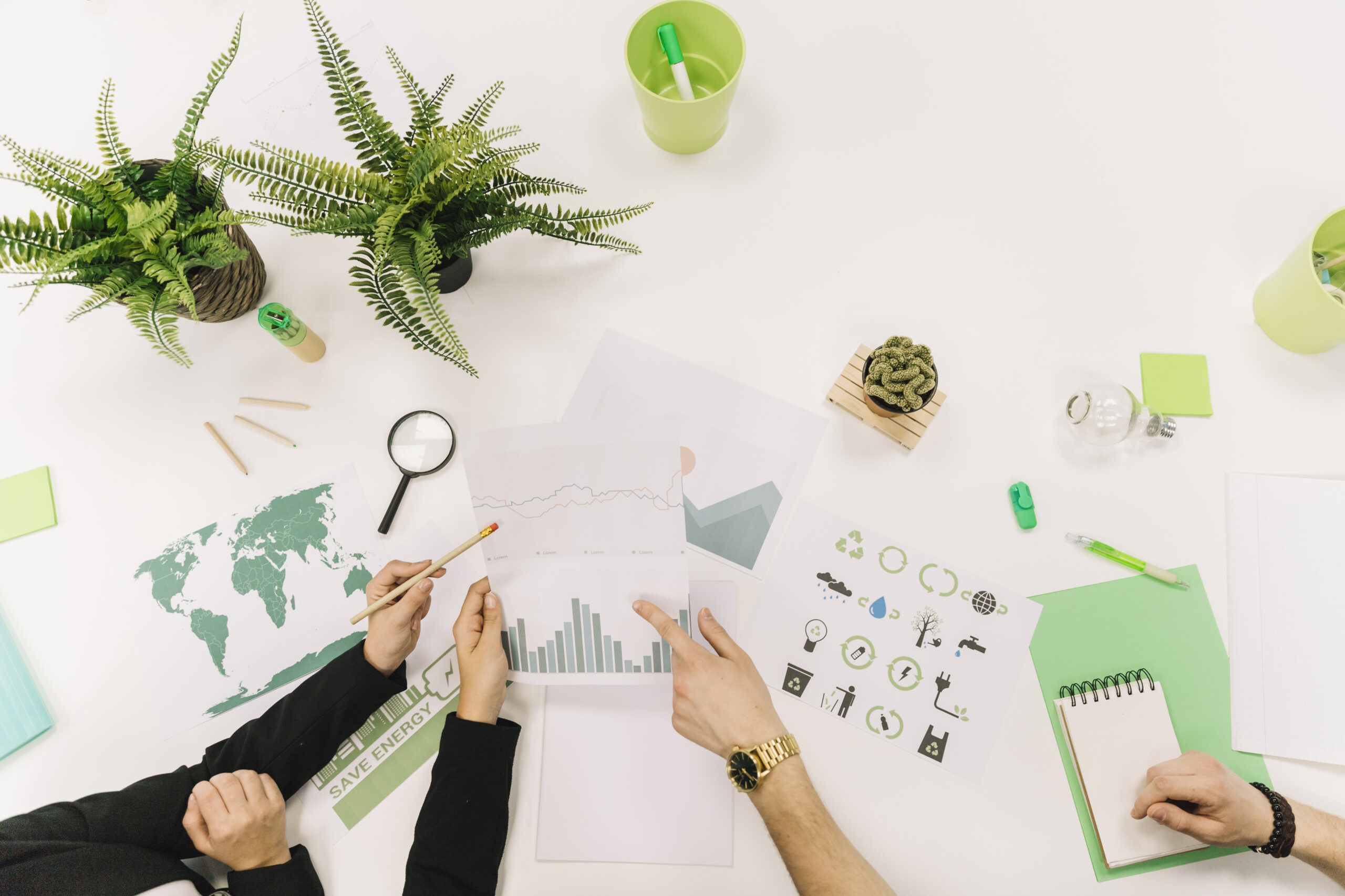 Unlocking Opportunities in Singapore’s Green Economy
