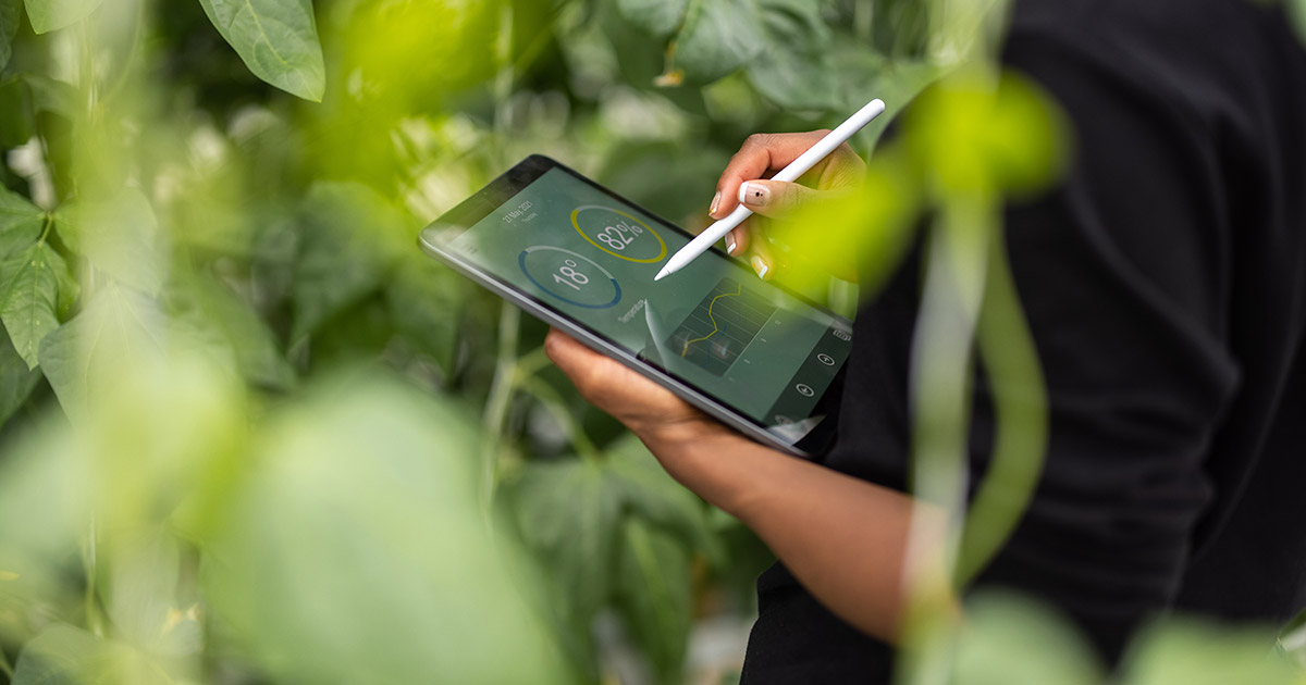 Leading the Way: Charting a Career as a Sustainability Leader in Singapore