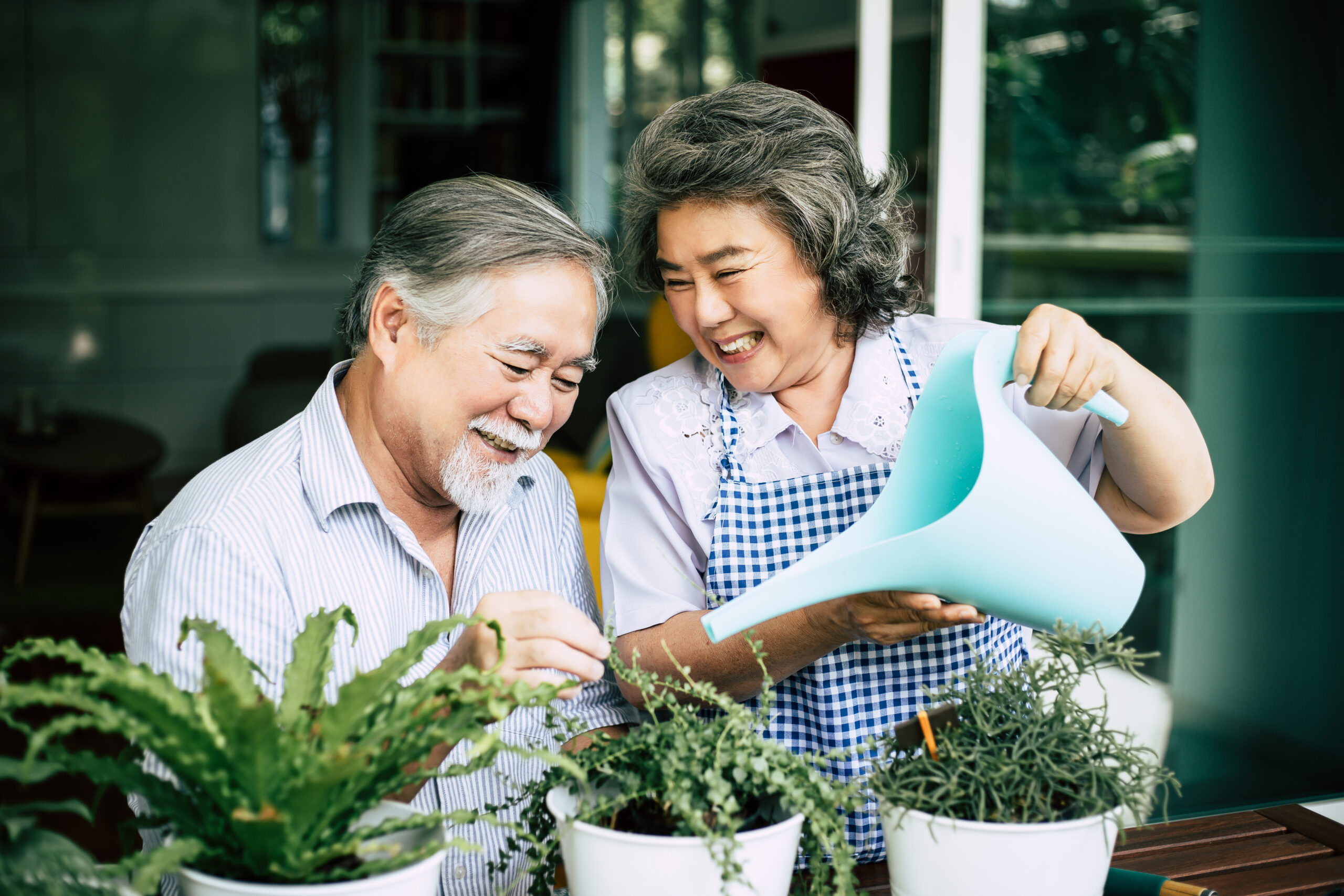 Embrace 2024: Gerontology and Active Aging